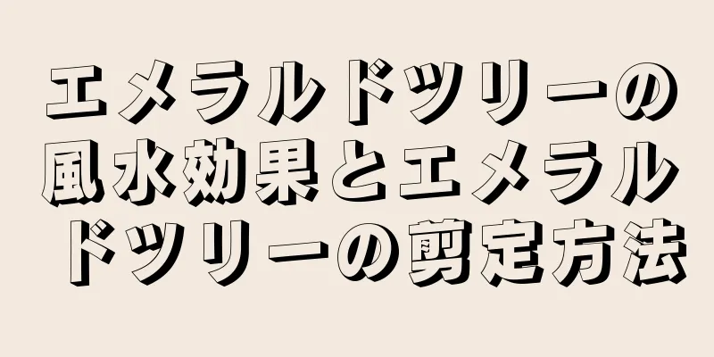 エメラルドツリーの風水効果とエメラルドツリーの剪定方法