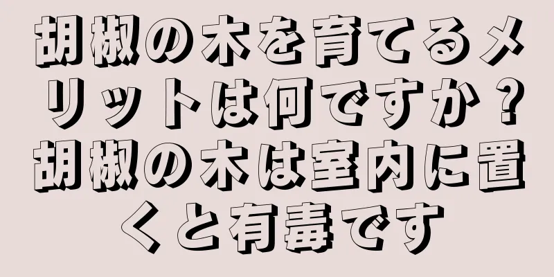 胡椒の木を育てるメリットは何ですか？胡椒の木は室内に置くと有毒です