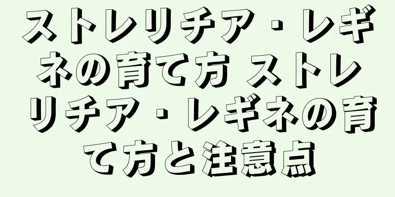 ストレリチア・レギネの育て方 ストレリチア・レギネの育て方と注意点