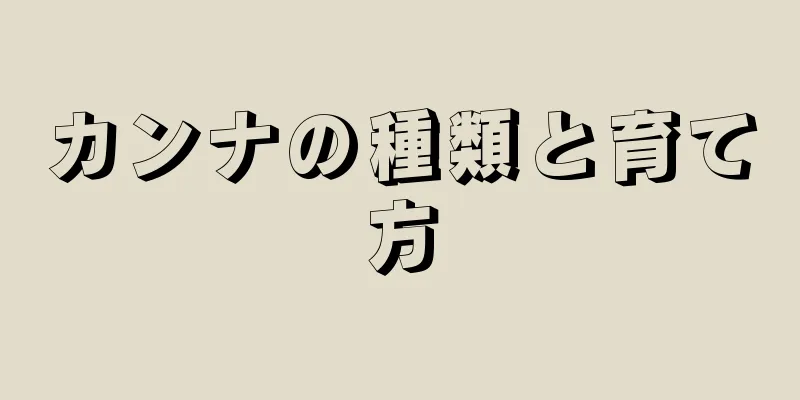 カンナの種類と育て方