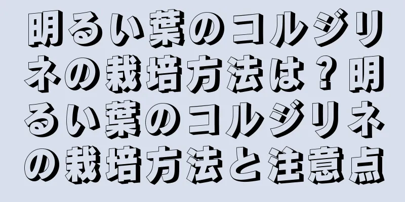 明るい葉のコルジリネの栽培方法は？明るい葉のコルジリネの栽培方法と注意点