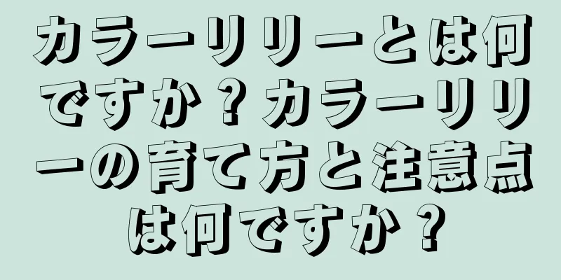 カラーリリーとは何ですか？カラーリリーの育て方と注意点は何ですか？