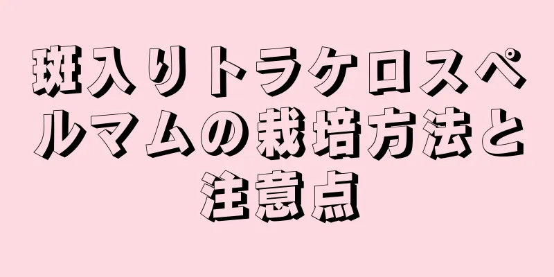 斑入りトラケロスペルマムの栽培方法と注意点