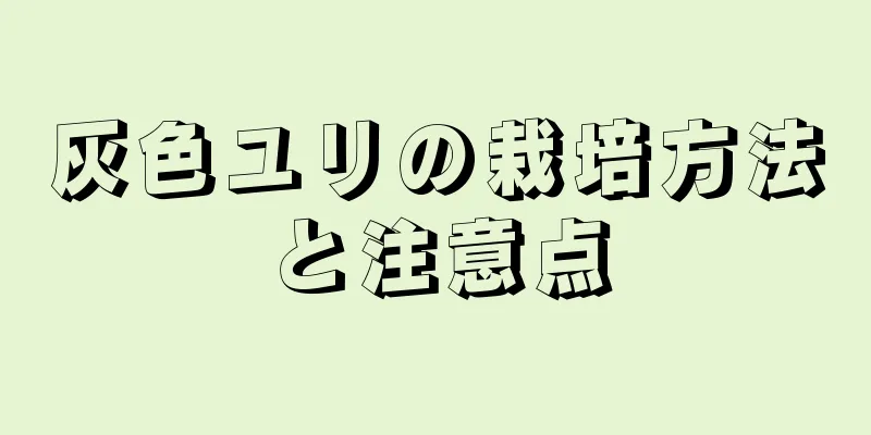 灰色ユリの栽培方法と注意点