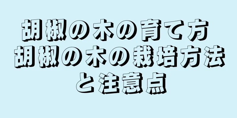 胡椒の木の育て方 胡椒の木の栽培方法と注意点