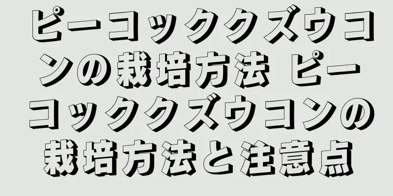 ピーコッククズウコンの栽培方法 ピーコッククズウコンの栽培方法と注意点
