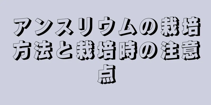 アンスリウムの栽培方法と栽培時の注意点