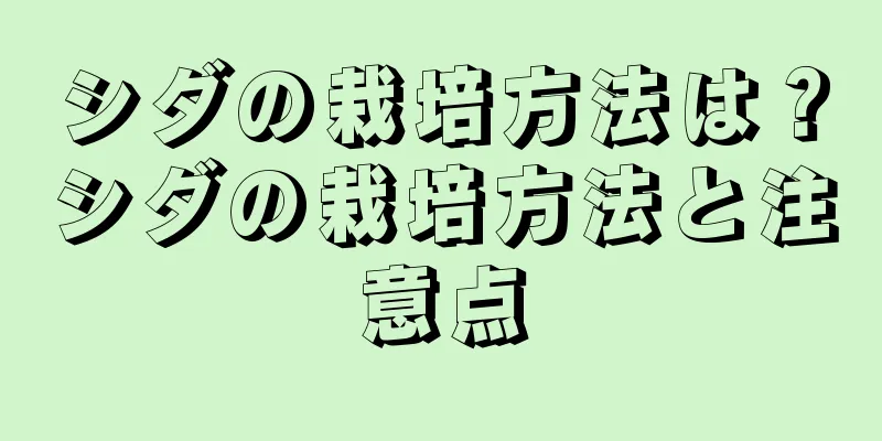シダの栽培方法は？シダの栽培方法と注意点