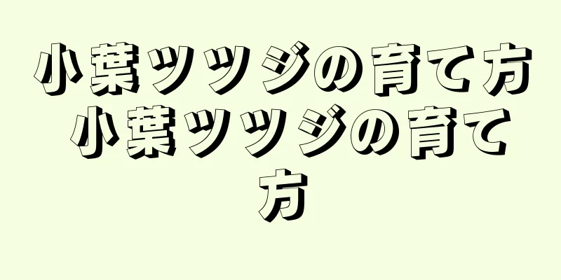 小葉ツツジの育て方 小葉ツツジの育て方