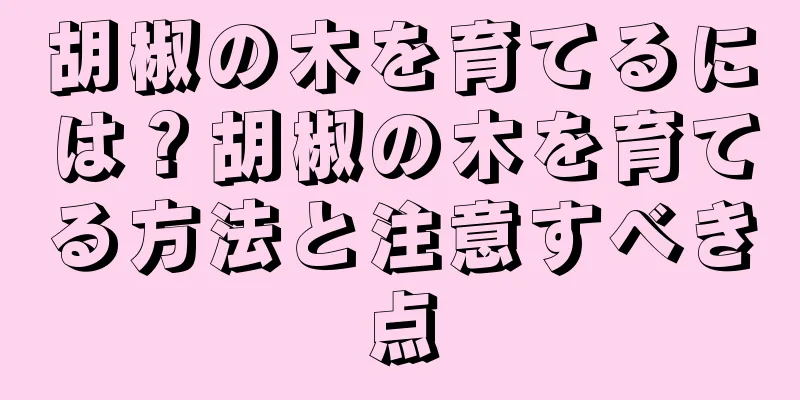胡椒の木を育てるには？胡椒の木を育てる方法と注意すべき点