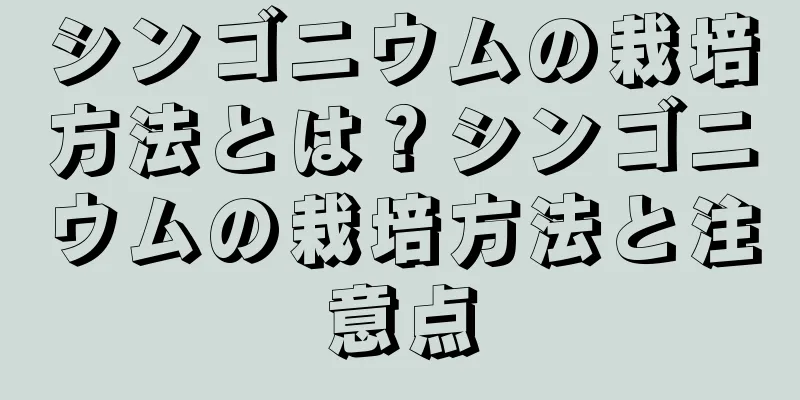 シンゴニウムの栽培方法とは？シンゴニウムの栽培方法と注意点
