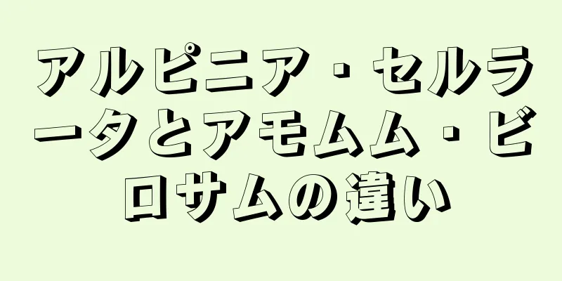アルピニア・セルラータとアモムム・ビロサムの違い