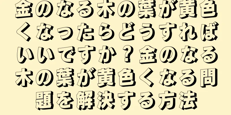 金のなる木の葉が黄色くなったらどうすればいいですか？金のなる木の葉が黄色くなる問題を解決する方法