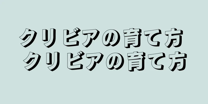 クリビアの育て方 クリビアの育て方