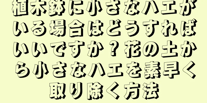 植木鉢に小さなハエがいる場合はどうすればいいですか？花の土から小さなハエを素早く取り除く方法