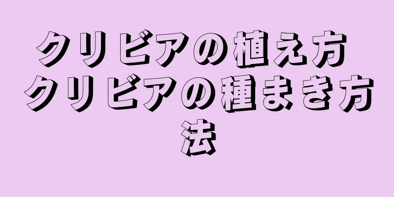 クリビアの植え方 クリビアの種まき方法