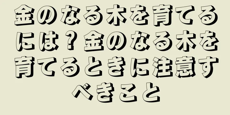 金のなる木を育てるには？金のなる木を育てるときに注意すべきこと