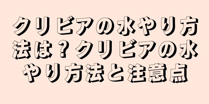 クリビアの水やり方法は？クリビアの水やり方法と注意点