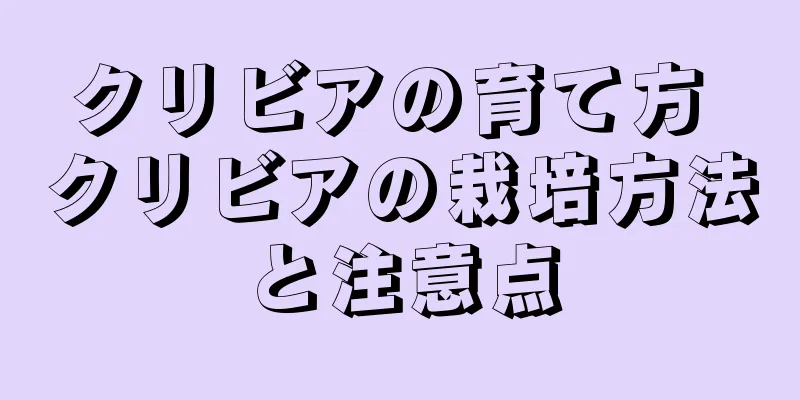 クリビアの育て方 クリビアの栽培方法と注意点