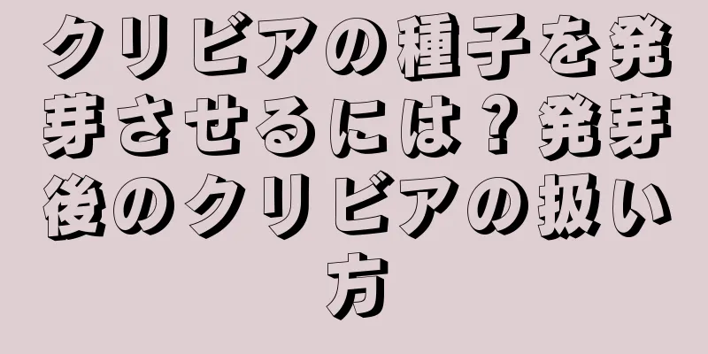 クリビアの種子を発芽させるには？発芽後のクリビアの扱い方