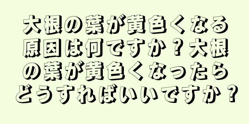 大根の葉が黄色くなる原因は何ですか？大根の葉が黄色くなったらどうすればいいですか？