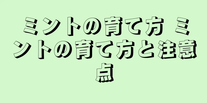 ミントの育て方 ミントの育て方と注意点