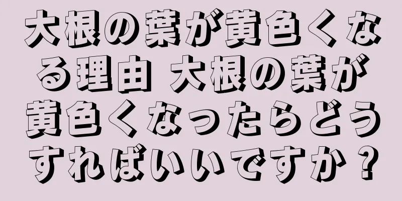 大根の葉が黄色くなる理由 大根の葉が黄色くなったらどうすればいいですか？