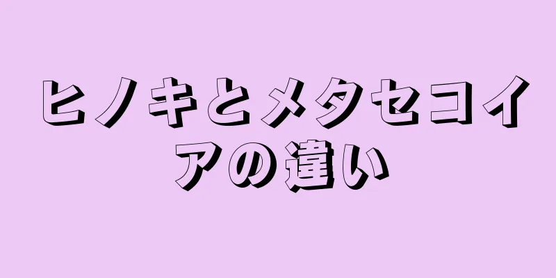 ヒノキとメタセコイアの違い