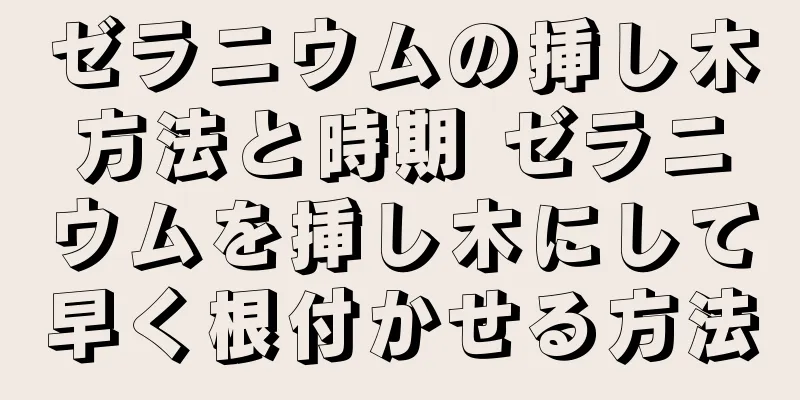 ゼラニウムの挿し木方法と時期 ゼラニウムを挿し木にして早く根付かせる方法