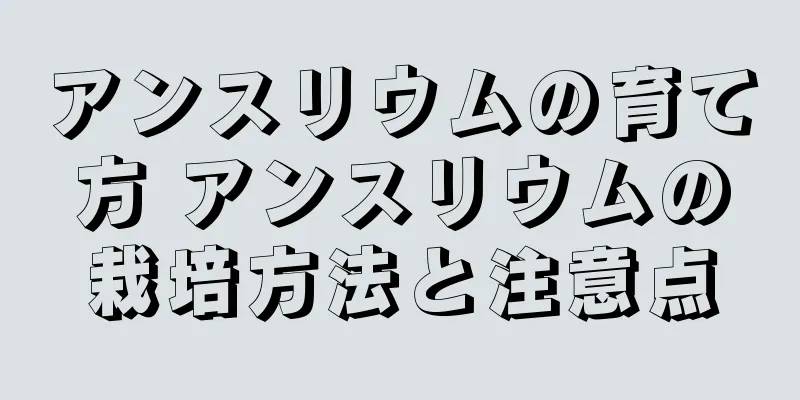 アンスリウムの育て方 アンスリウムの栽培方法と注意点