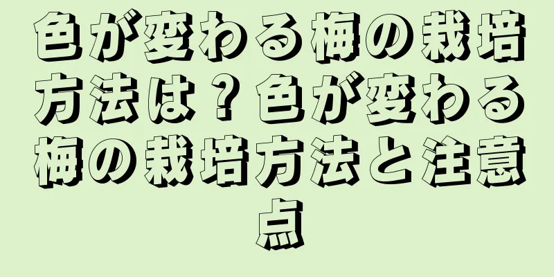 色が変わる梅の栽培方法は？色が変わる梅の栽培方法と注意点