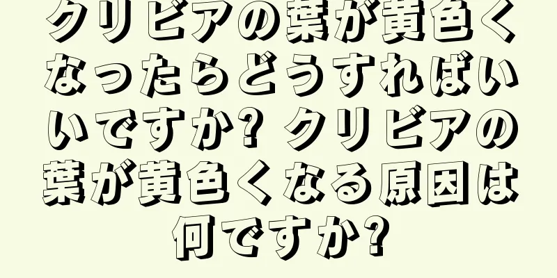 クリビアの葉が黄色くなったらどうすればいいですか? クリビアの葉が黄色くなる原因は何ですか?
