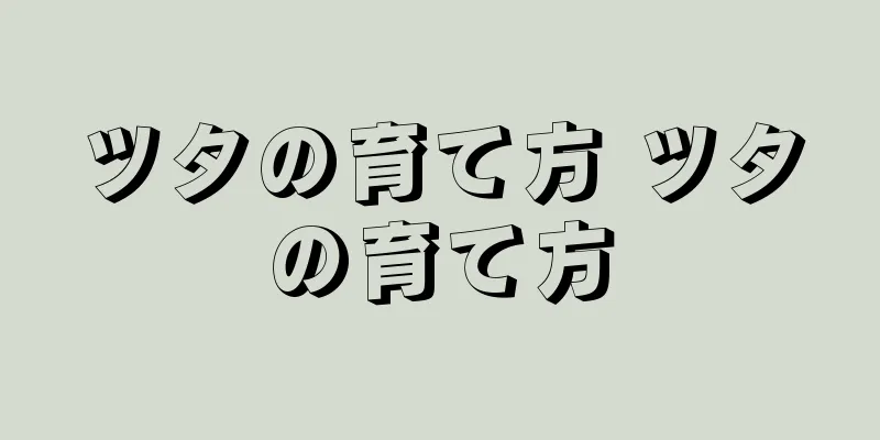 ツタの育て方 ツタの育て方