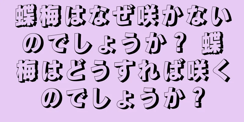 蝶梅はなぜ咲かないのでしょうか？ 蝶梅はどうすれば咲くのでしょうか？