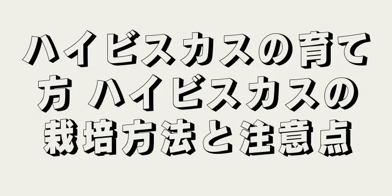 ハイビスカスの育て方 ハイビスカスの栽培方法と注意点