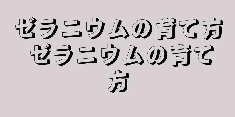 ゼラニウムの育て方 ゼラニウムの育て方