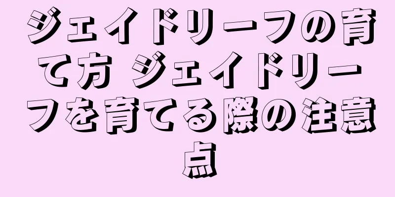 ジェイドリーフの育て方 ジェイドリーフを育てる際の注意点