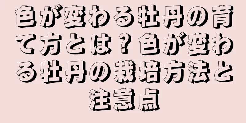 色が変わる牡丹の育て方とは？色が変わる牡丹の栽培方法と注意点