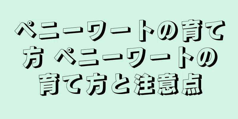 ペニーワートの育て方 ペニーワートの育て方と注意点