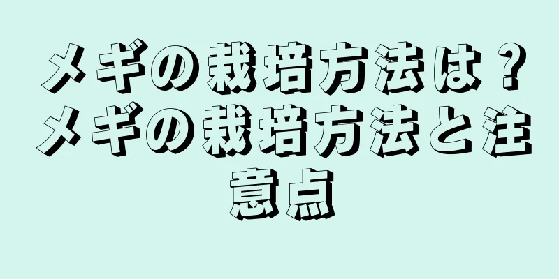 メギの栽培方法は？メギの栽培方法と注意点