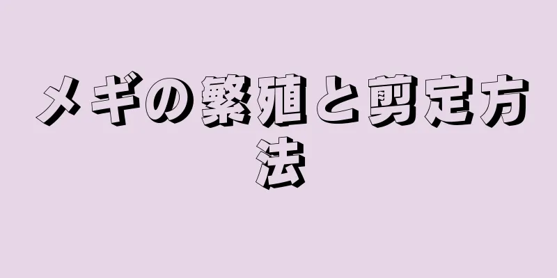 メギの繁殖と剪定方法