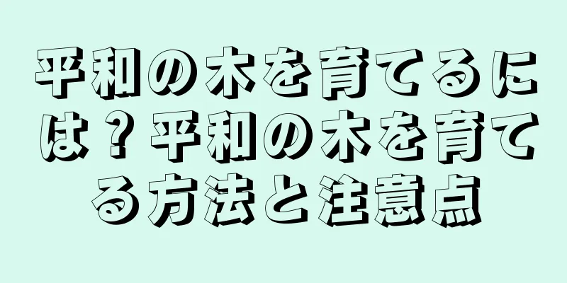 平和の木を育てるには？平和の木を育てる方法と注意点