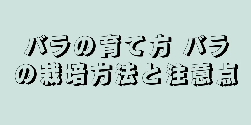 バラの育て方 バラの栽培方法と注意点