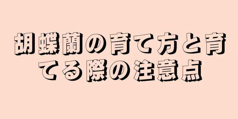 胡蝶蘭の育て方と育てる際の注意点