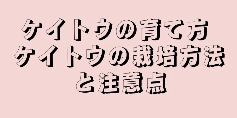 ケイトウの育て方 ケイトウの栽培方法と注意点