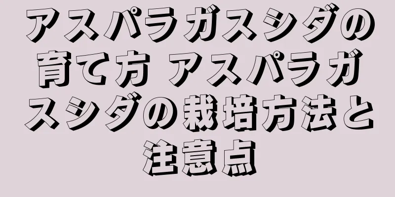 アスパラガスシダの育て方 アスパラガスシダの栽培方法と注意点