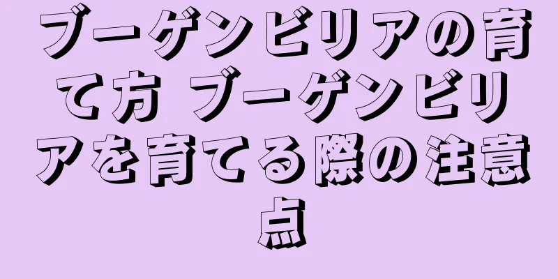 ブーゲンビリアの育て方 ブーゲンビリアを育てる際の注意点