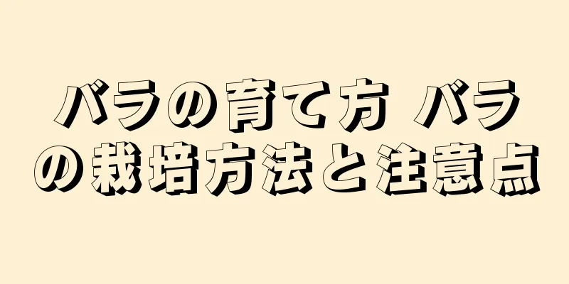 バラの育て方 バラの栽培方法と注意点