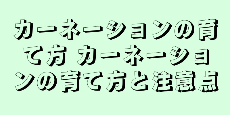 カーネーションの育て方 カーネーションの育て方と注意点