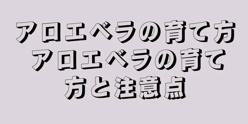 アロエベラの育て方 アロエベラの育て方と注意点